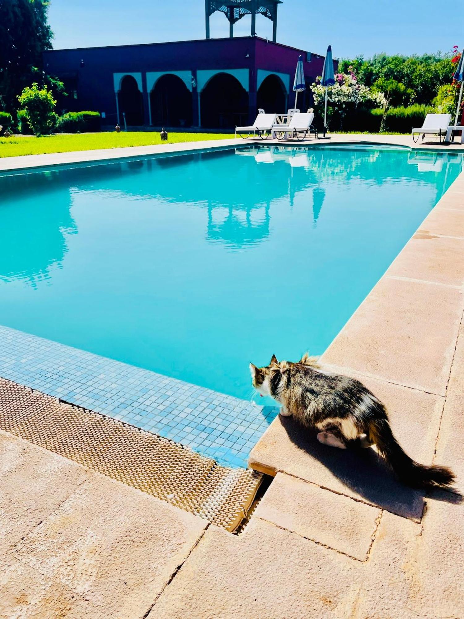 Villa Baddi Marrakech Lagouassem Exterior foto